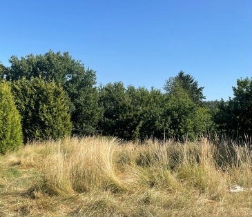 Nhe Nrburgring: erschlossenes Baugrundstck mit einer Flche von 607 m