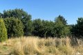 Nhe Nrburgring: erschlossenes Baugrundstck mit einer Flche von 607 m