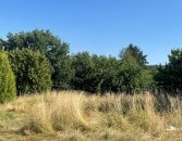 Nhe Nrburgring: erschlossenes Baugrundstck mit einer Flche von 607 m