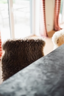 Neuwertiges Einfamilienwohnhaus (Bungalow) in unverbaubarer Aussichtslage der Gemeinde �dersdorf