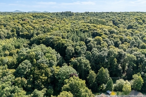 Ortsrandlage: Baugrundstck im ansprechenden Wohngebiet von Pech