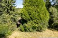 Ortsrandlage: Baugrundstck im ansprechenden Wohngebiet von Pech