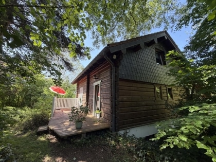 Pferdeliebhaber aufgepasst! Idyllisches Anwesen mit Holzblockhaus, Stallungen, Paddock & Weideland