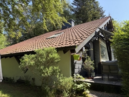 Pferdeliebhaber aufgepasst! Idyllisches Anwesen mit Holzblockhaus, Stallungen, Paddock & Weideland