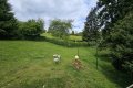 Pferdeliebhaber aufgepasst! Landhaus in Naturgebiet mit Wiese und Pferdeboxen