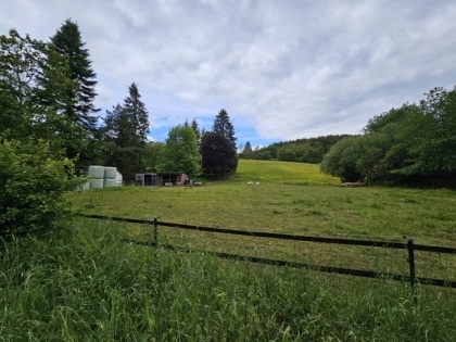 Pferdeliebhaber aufgepasst! Landhaus in Naturgebiet mit Wiese und Pferdeboxen