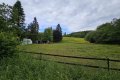 Pferdeliebhaber aufgepasst! Landhaus in Naturgebiet mit Wiese und Pferdeboxen