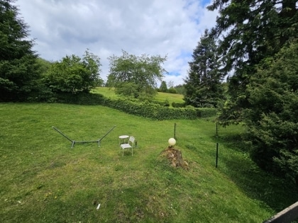 Pferdeliebhaber aufgepasst! Landhaus in Naturgebiet mit Wiese und Pferdeboxen