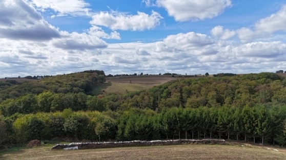 Rarit�t! EFH in absoluter Alleinlage mit herrlicher Aussicht! N�he der luxemburgischen Grenze