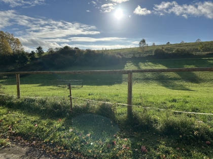 Reiterhof / ehem. Bauernhof in Alleinlage mit insgesamt 11,3 ha Eigenland in der Vulkaneifel