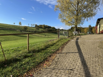 Reiterhof / ehem. Bauernhof in Alleinlage mit insgesamt 11,3 ha Eigenland in der Vulkaneifel