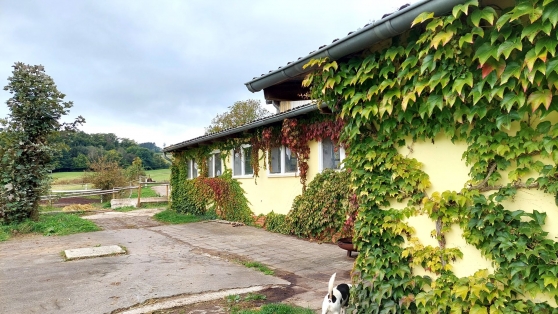 Reiterhof / ehem. Bauernhof in Alleinlage mit insgesamt 11,3 ha Eigenland in der Vulkaneifel