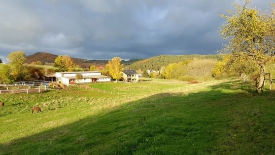 Reiterhof / ehem. Bauernhof in Alleinlage mit insgesamt 11,3 ha Eigenland in der Vulkaneifel