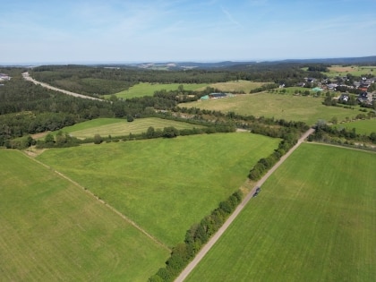 Reprsentativer Eifellandsitz Pferdestlle mit 11 Boxen, 3,6 Hektar Land in Nettersheim