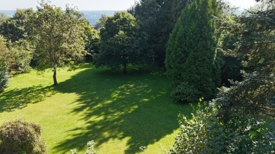 Rohdiamant im Grnen! Villa mit Einliegerwohnung auf groem Grundstck in guter Lage