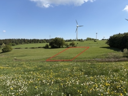 Ruhig gelegene Weide- und Wiesenfl�che (3.280 m�) zur Pferdehaltung oder landwirtschaftlichen Nutzung