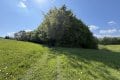Ruhig gelegene Weide- und Wiesenfl�che (3.280 m�) zur Pferdehaltung oder landwirtschaftlichen Nutzung