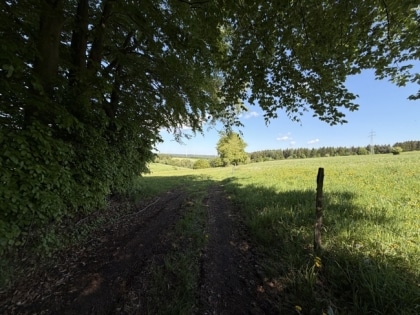 Ruhig gelegene Weide- und Wiesenfl�che (3.280 m�) zur Pferdehaltung oder landwirtschaftlichen Nutzung