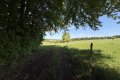 Ruhig gelegene Weide- und Wiesenfl�che (3.280 m�) zur Pferdehaltung oder landwirtschaftlichen Nutzung