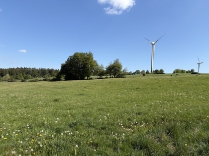 Ruhig gelegene Weide- und Wiesenfl�che (3.280 m�) zur Pferdehaltung oder landwirtschaftlichen Nutzung