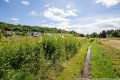 Ruhige Lage am Ortsrand: Baugrundstck in Immerath bei Daun in der Eifel