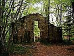 Ruine Karlsburg, Langerwehe eifel.de