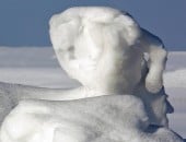 Skurile Schneeform: Rücken an Rücken - Eifel-Schneehase und Mensch beim winterlichen Sonnenbad.
