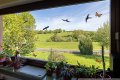 Viel Platz im Nebengeb�ude - Gro�er Garten - Eifel-Einfamilienhaus mit Einliegerwohnung in Bodenbach