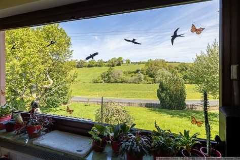 Viel Platz im Nebengeb�ude - Gro�er Garten - Eifel-Einfamilienhaus mit Einliegerwohnung in Bodenbach
