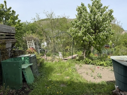 Vielseitig nutzbares Zweifamilienhaus mit Potenzial in Niederfell