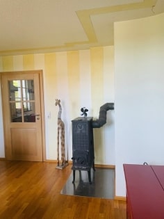 WOHNEN und ARBEITEN unter einem Dach! LUXUS-Fachwerkhaus in naturnaher Lage