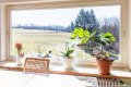 Weitblick in die Natur: Einfamilienhaus am Ortsrand von Harscheid/Eifel