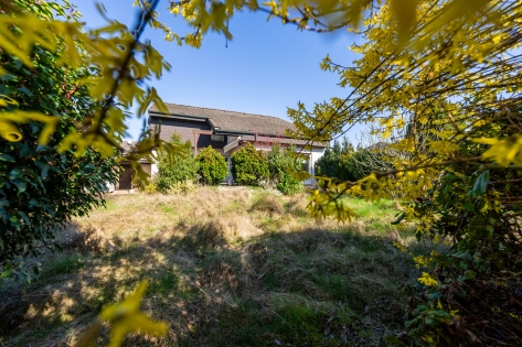 Wohnen auf einer Ebene in Rheinn�he - gepflegter Bungalow mit Garten in Unkel