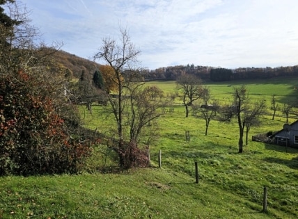 Wohnung (ideal als Ferienwohnung) mit sonniger Sd-Terrasse und herrlicher Aussicht