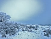 Wunderschöns zugefrorenes und schneebedecktes Feld