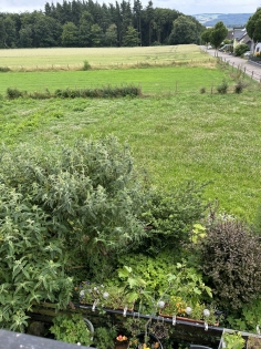 Zweifamilienwohnhaus in ruhiger Randlage der Gemeinde Krrenberg