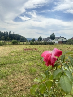 Zweifamilienwohnhaus in ruhiger Randlage der Gemeinde Krrenberg